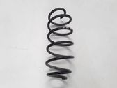 Front coil spring