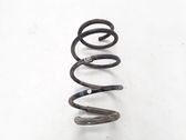 Front coil spring