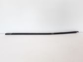 Takaoven lista (muoto)