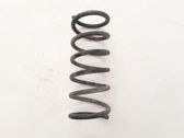 Rear coil spring