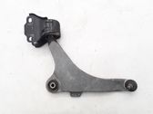 Front lower control arm/wishbone