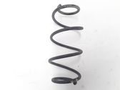 Rear coil spring