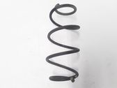 Rear coil spring