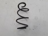 Front coil spring