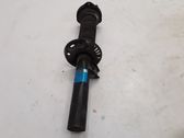 Front shock absorber/damper