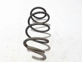 Front coil spring