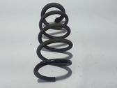 Front coil spring