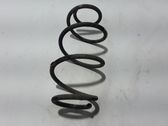 Rear coil spring