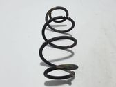 Rear coil spring