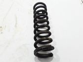 Front coil spring