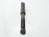 Rear shock absorber/damper