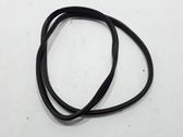 Front door rubber seal