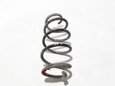 Front coil spring