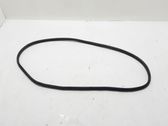 Rear door rubber seal (on body)