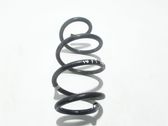 Front coil spring