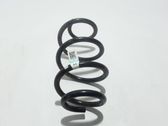 Front coil spring