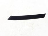 Fender trim (molding)