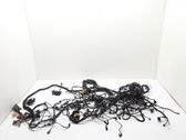 Other wiring loom
