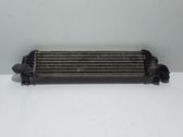 Intercooler radiator