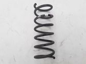 Rear coil spring