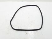 Rear door rubber seal (on body)