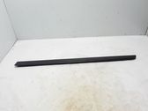 Listón embellecedor de la puerta delantera (moldura)