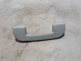 Front interior roof grab handle