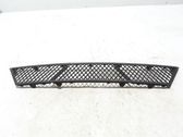 Front bumper lower grill