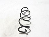 Front coil spring