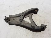 Front lower control arm/wishbone