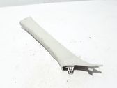 Other sill/pillar trim element