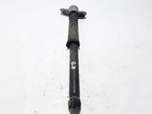 Rear shock absorber/damper