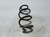 Front coil spring