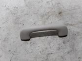Front interior roof grab handle