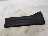 Rear door trim (molding)