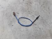 Exhaust gas temperature sensor