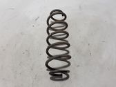 Rear coil spring