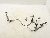Other wiring loom