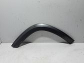 Fender trim (molding)