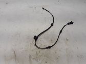 Cableado del sensor ABS trasero