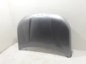 Engine bonnet/hood