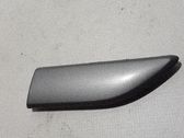 Front door trim (molding)