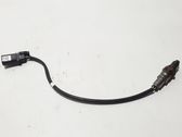 Lambdasonde Regelsonde