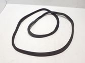 Trunk rubber seal (body)