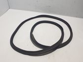 Trunk rubber seal (body)