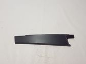 Rear door trim (molding)