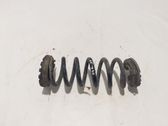 Muelle espiral trasero
