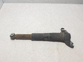 Stoßdämpfer hinten