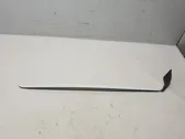 Windshield trim