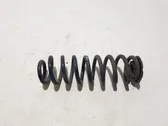 Rear coil spring